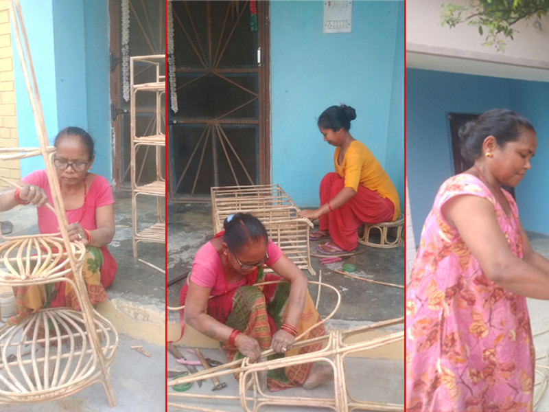 कैलालीका महिलाको लोभलाग्दो उद्यम : घरको काम पनि भ्याइने, वार्षिक १० लाखसम्म कमाइ पनि हुने
